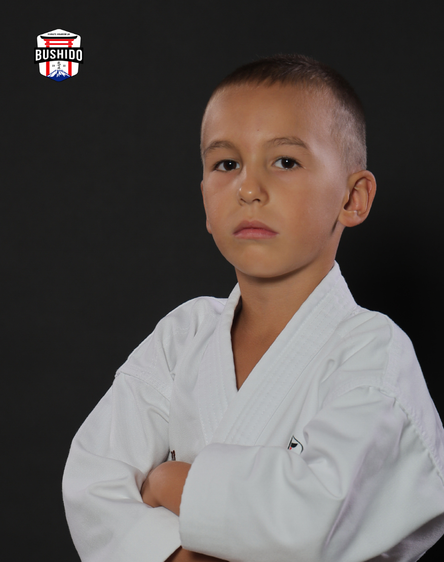 Aleksa Vlaisavljević